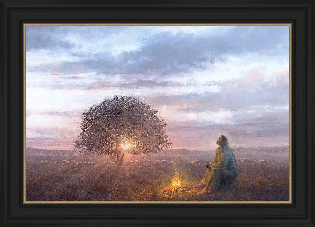 The Light of Life