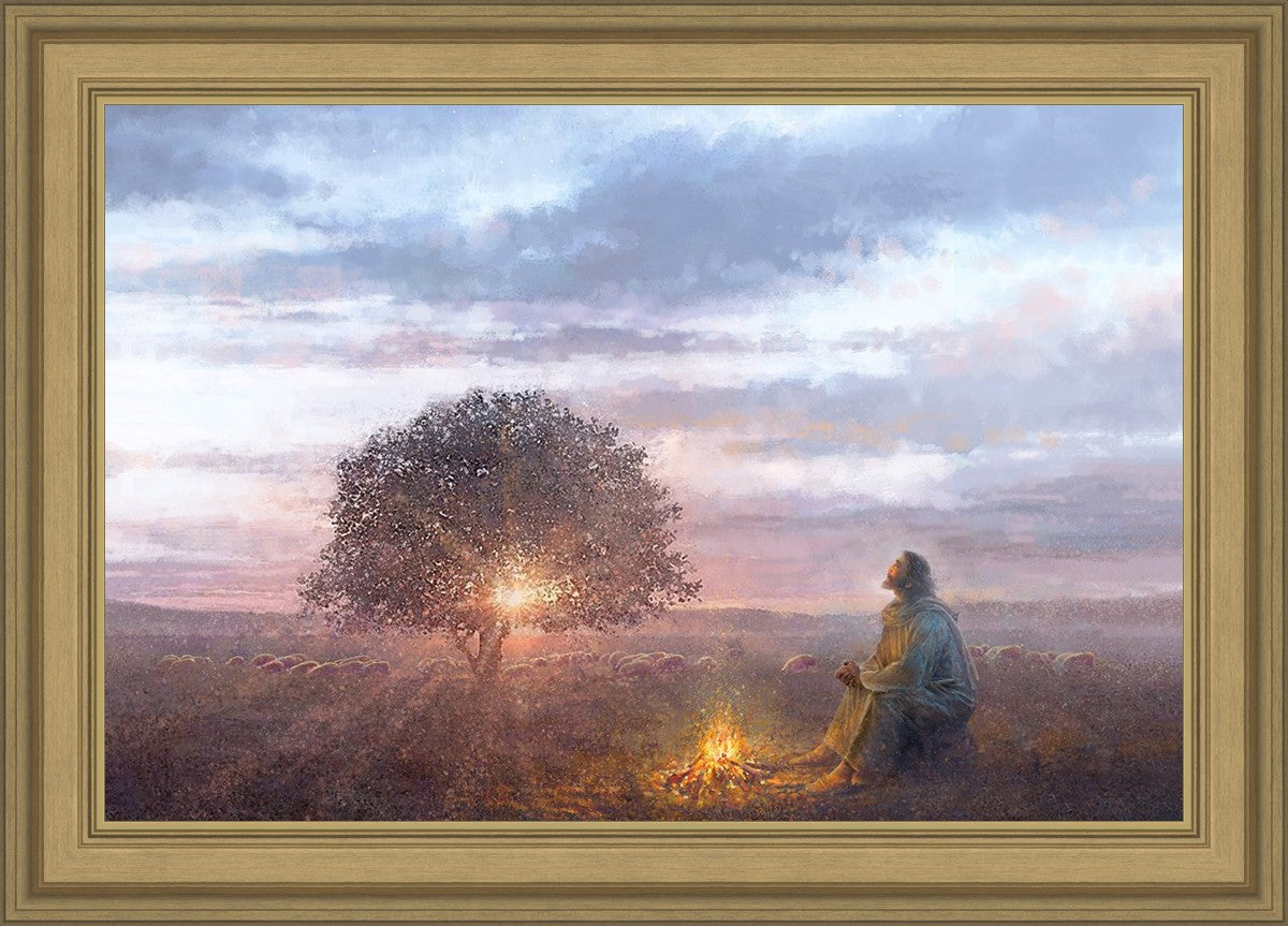 The Light of Life