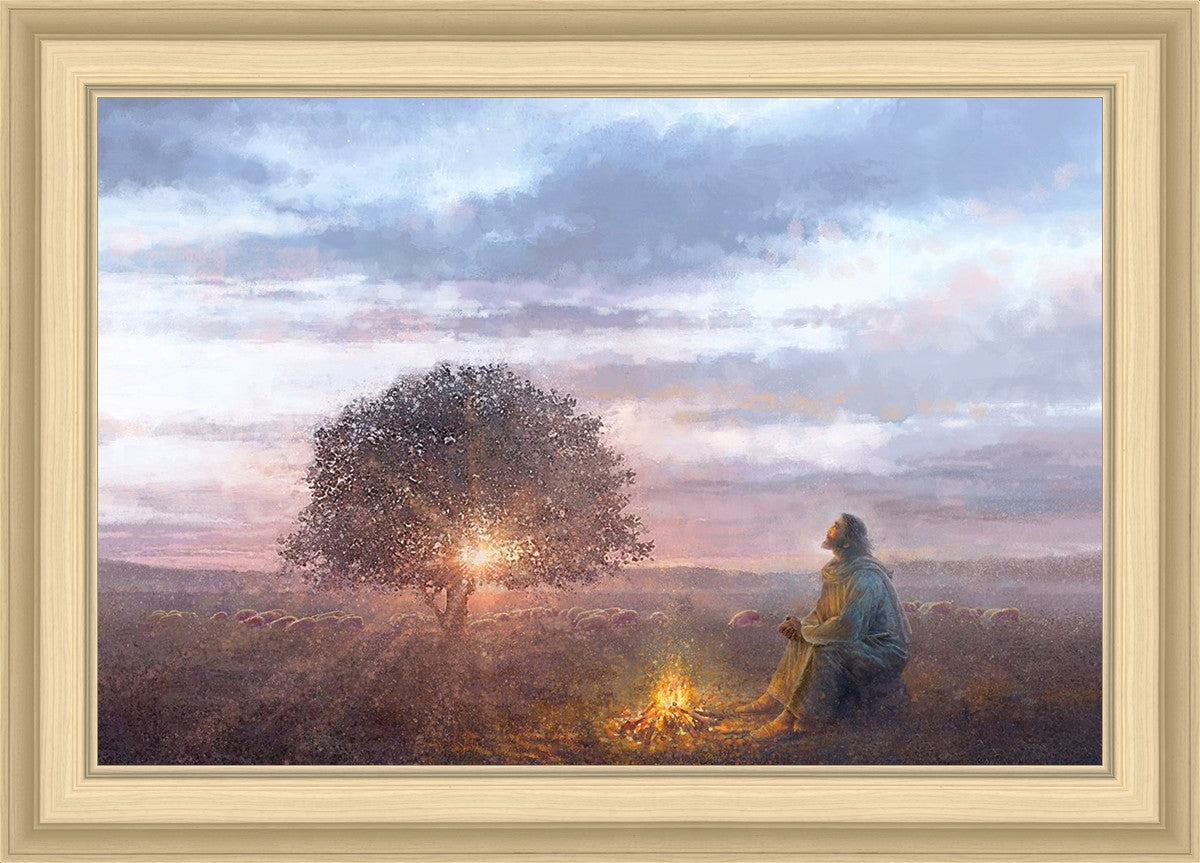 The Light of Life