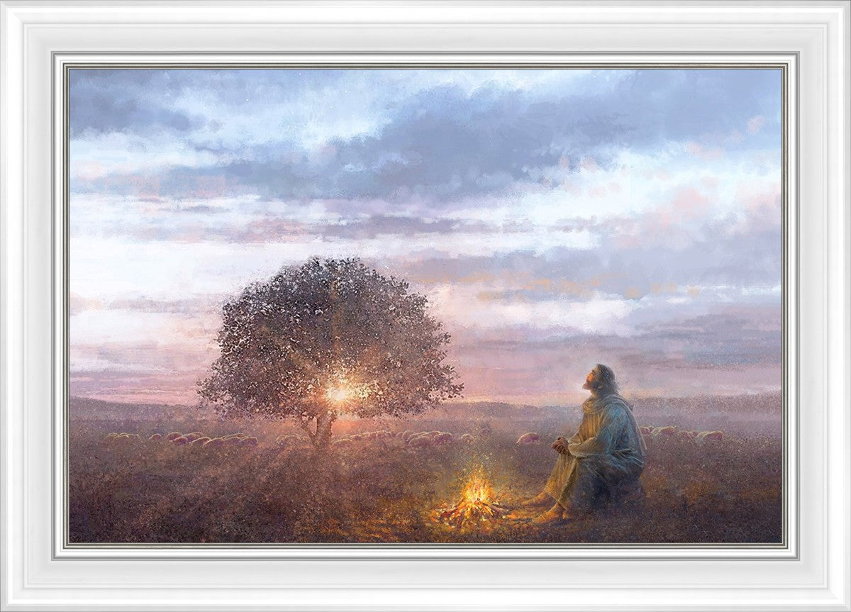 The Light of Life