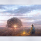 The Light of Life