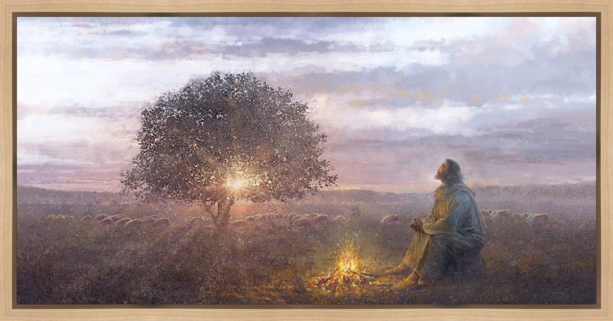 The Light of Life