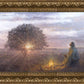 The Light of Life