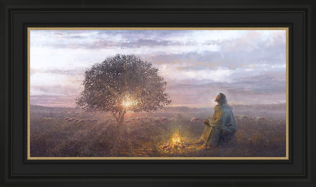 The Light of Life