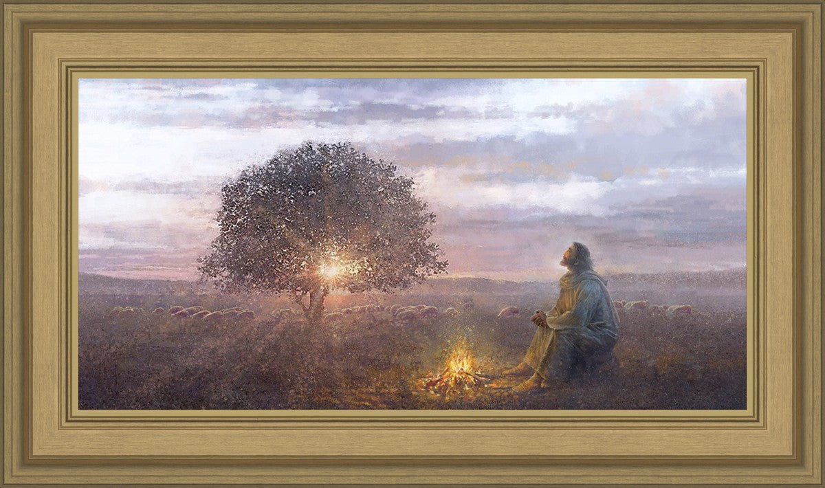 The Light of Life