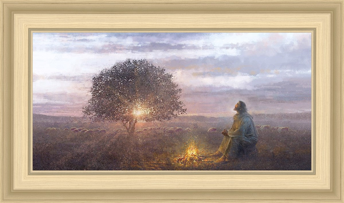 The Light of Life