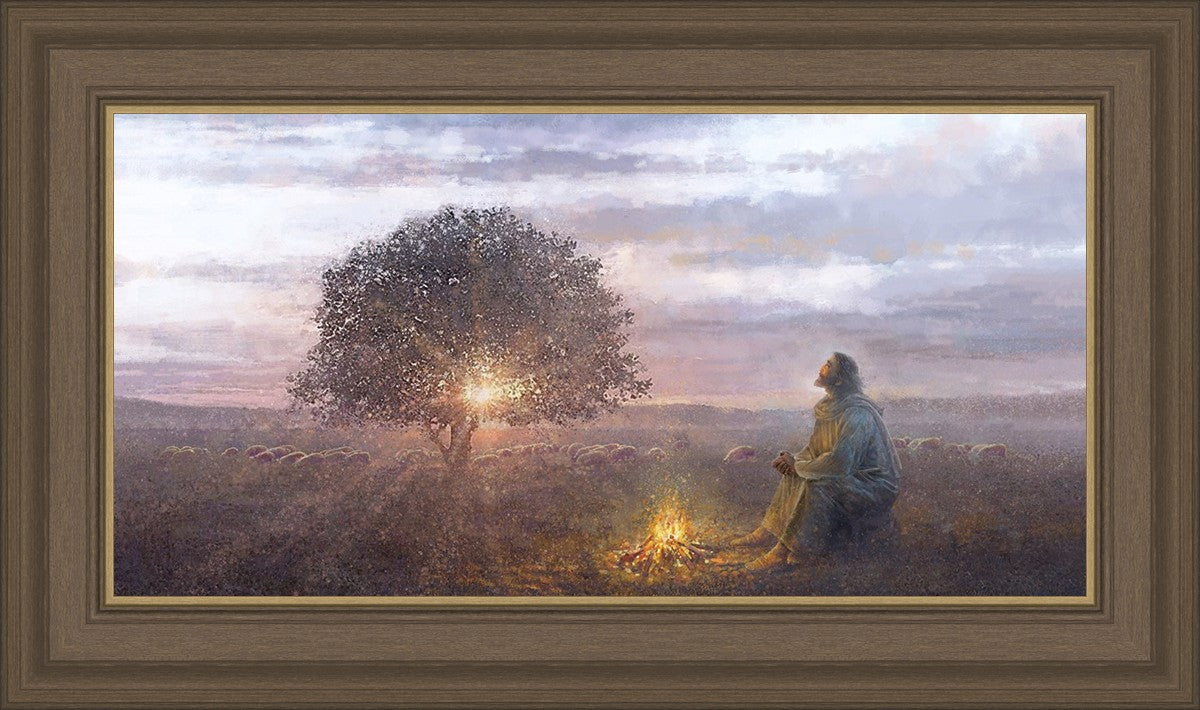 The Light of Life