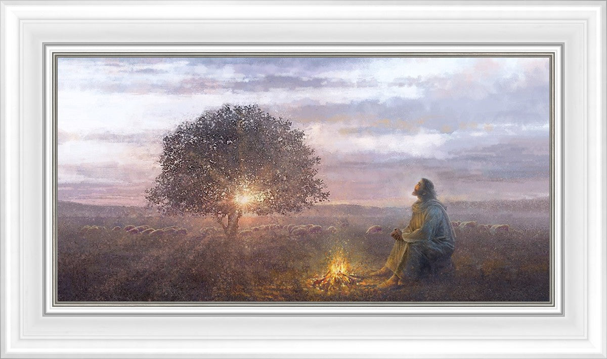 The Light of Life