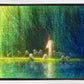 Among the Willows