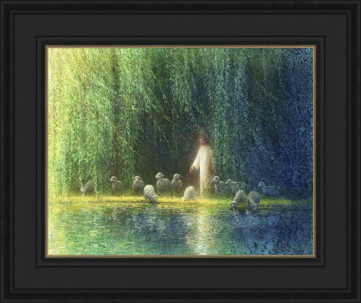 Among the Willows
