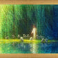 Among the Willows