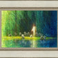 Among the Willows