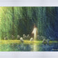 Among the Willows