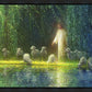 Among the Willows