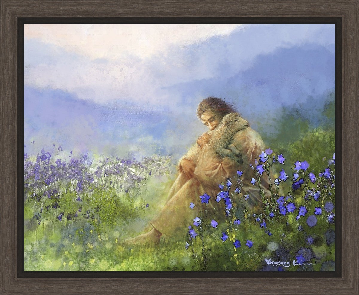 Comforter