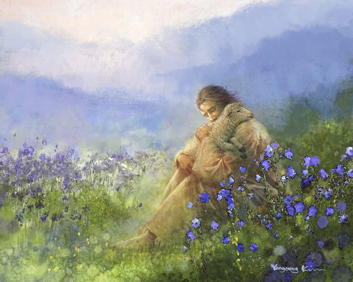 Comforter