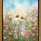 Divine Companion