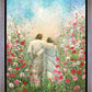 Divine Companion
