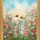 Divine Companion