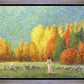 Changing Seasons