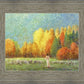 Changing Seasons
