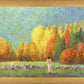 Changing Seasons