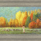 Changing Seasons