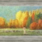 Changing Seasons