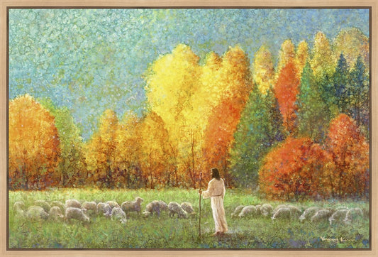Changing Seasons