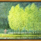 Follow In His Footsteps
