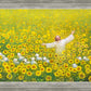 Be Glad and Rejoice