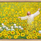 Be Glad and Rejoice