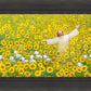 Be Glad and Rejoice