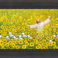 Be Glad and Rejoice