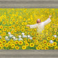 Be Glad and Rejoice