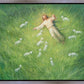 Lie Down