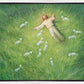 Lie Down