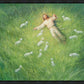 Lie Down