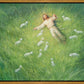 Lie Down