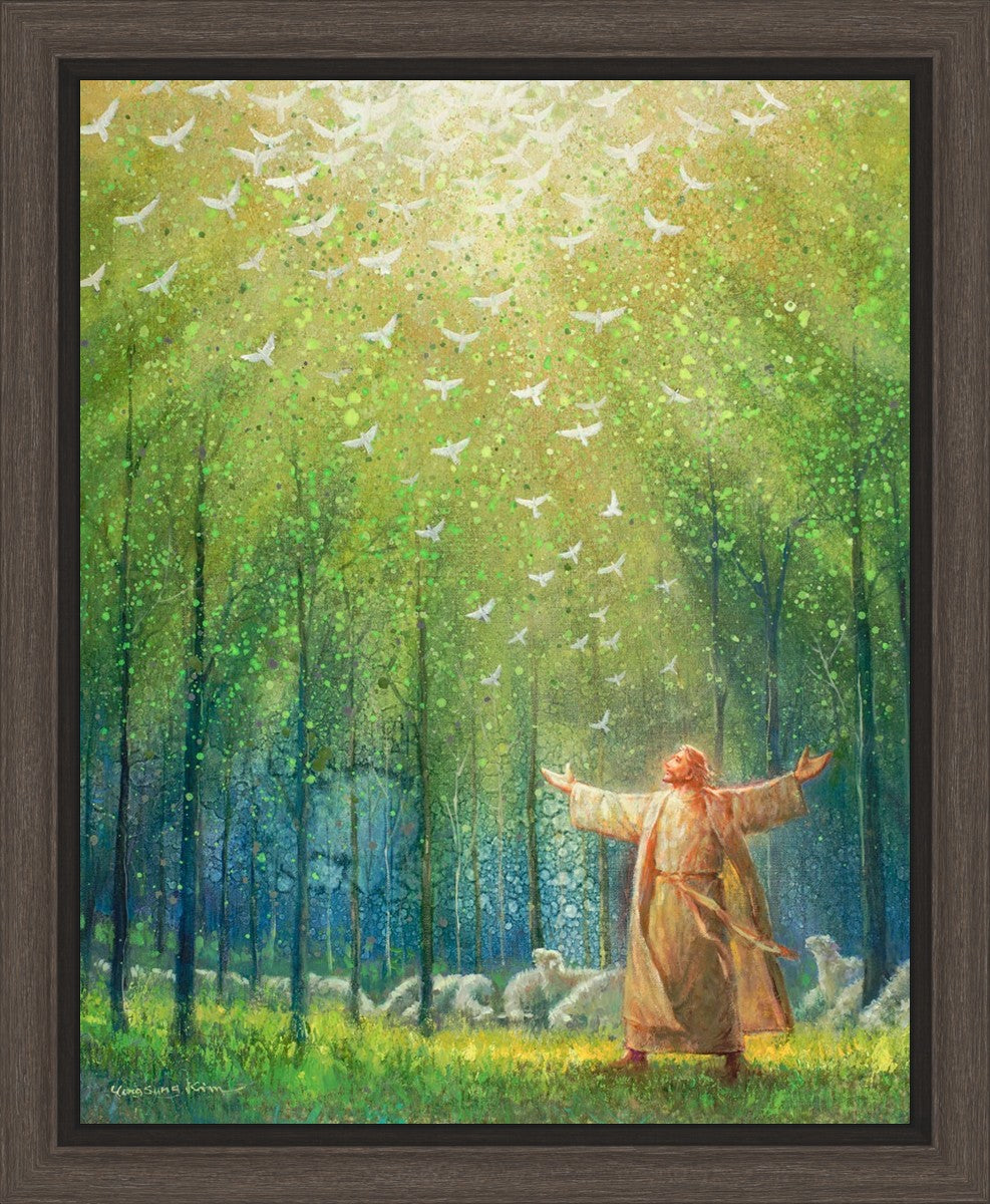 A New Light Shining