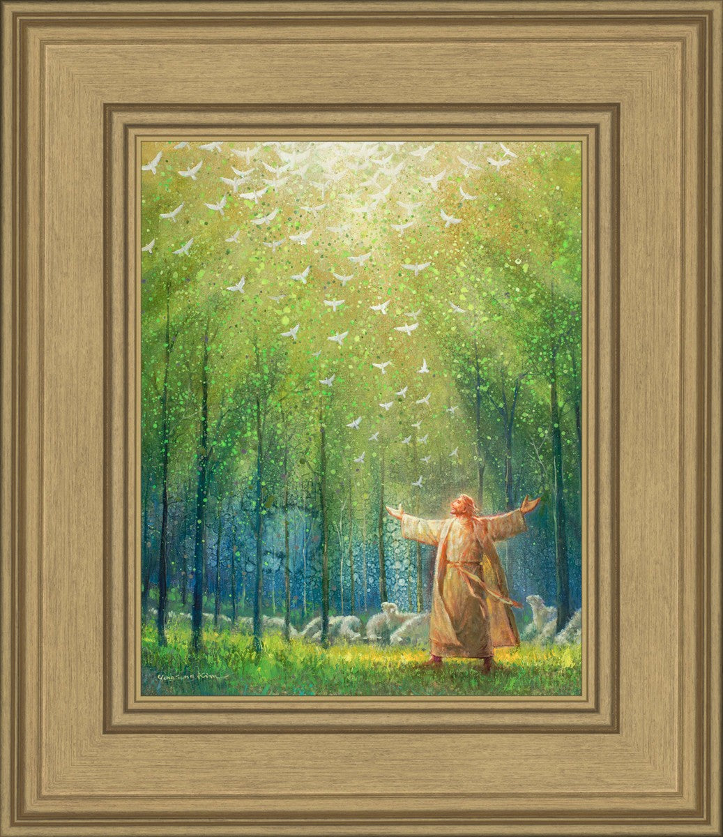 A New Light Shining