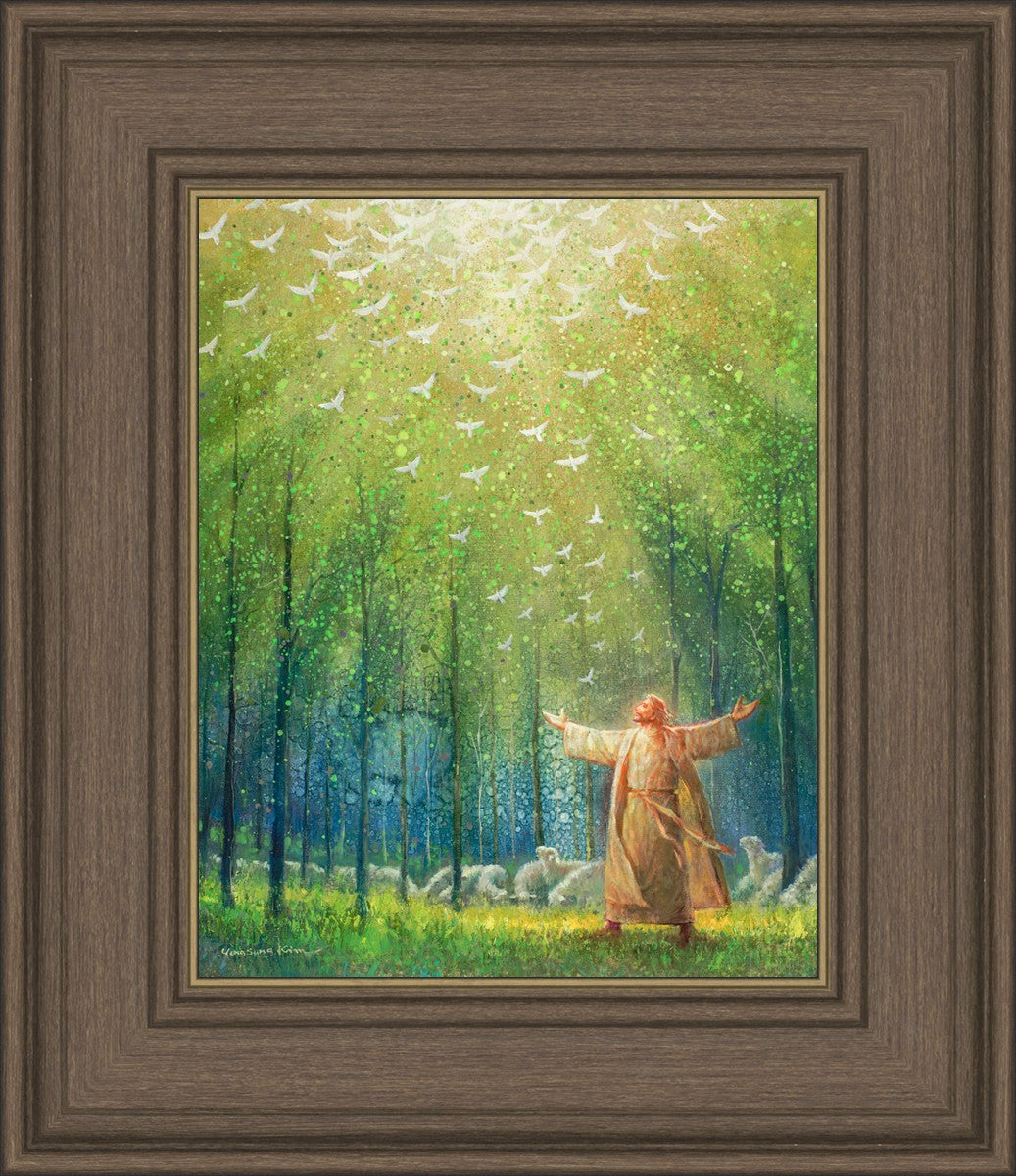 A New Light Shining