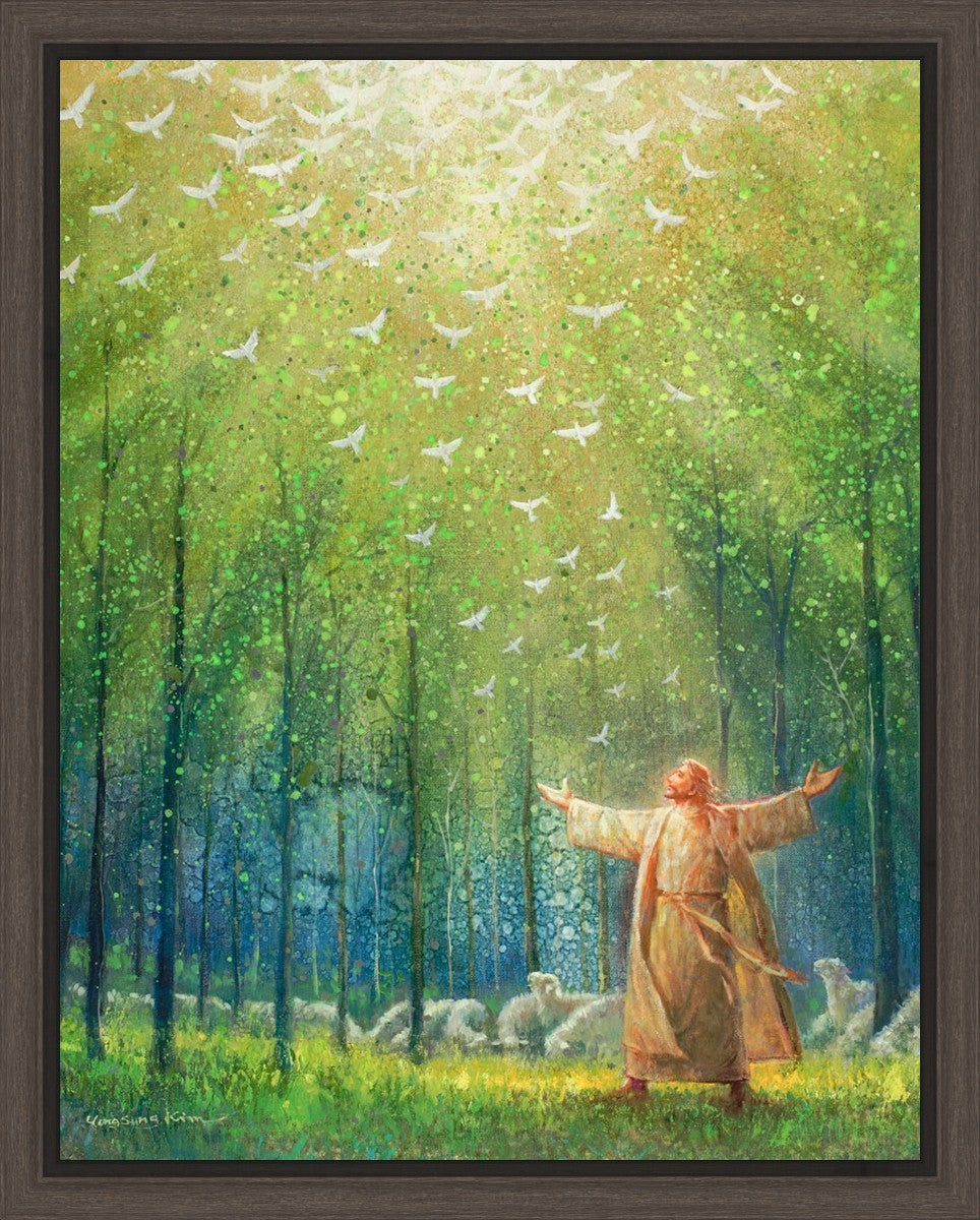 A New Light Shining