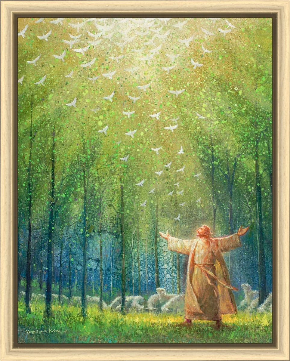 A New Light Shining