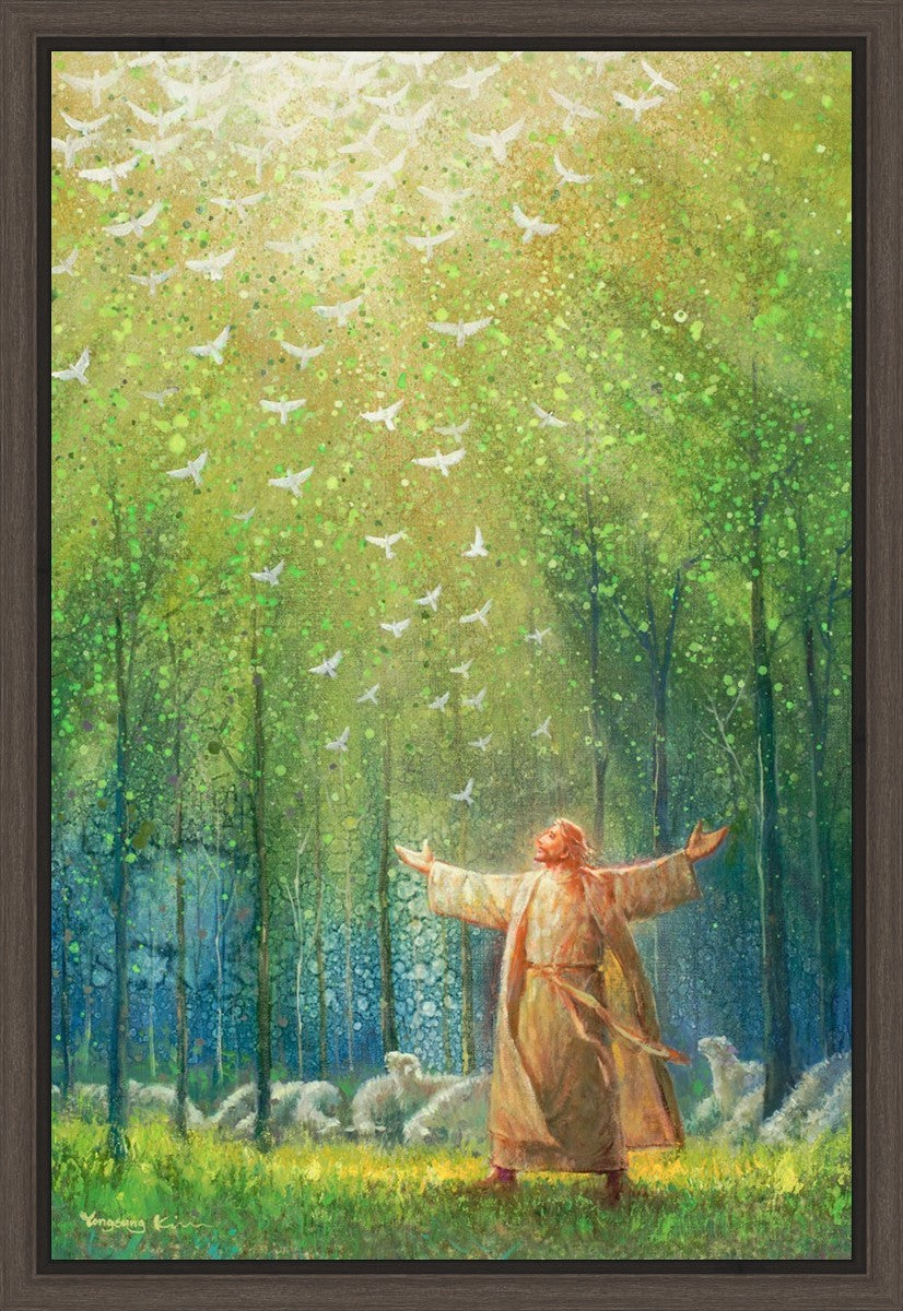 A New Light Shining