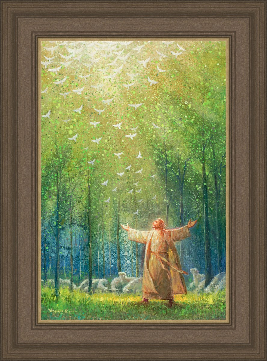 A New Light Shining
