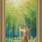 A New Light Shining