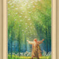 A New Light Shining