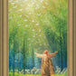 A New Light Shining