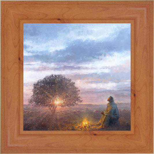 The Light of Life